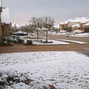 Meet your Posher, Lilian